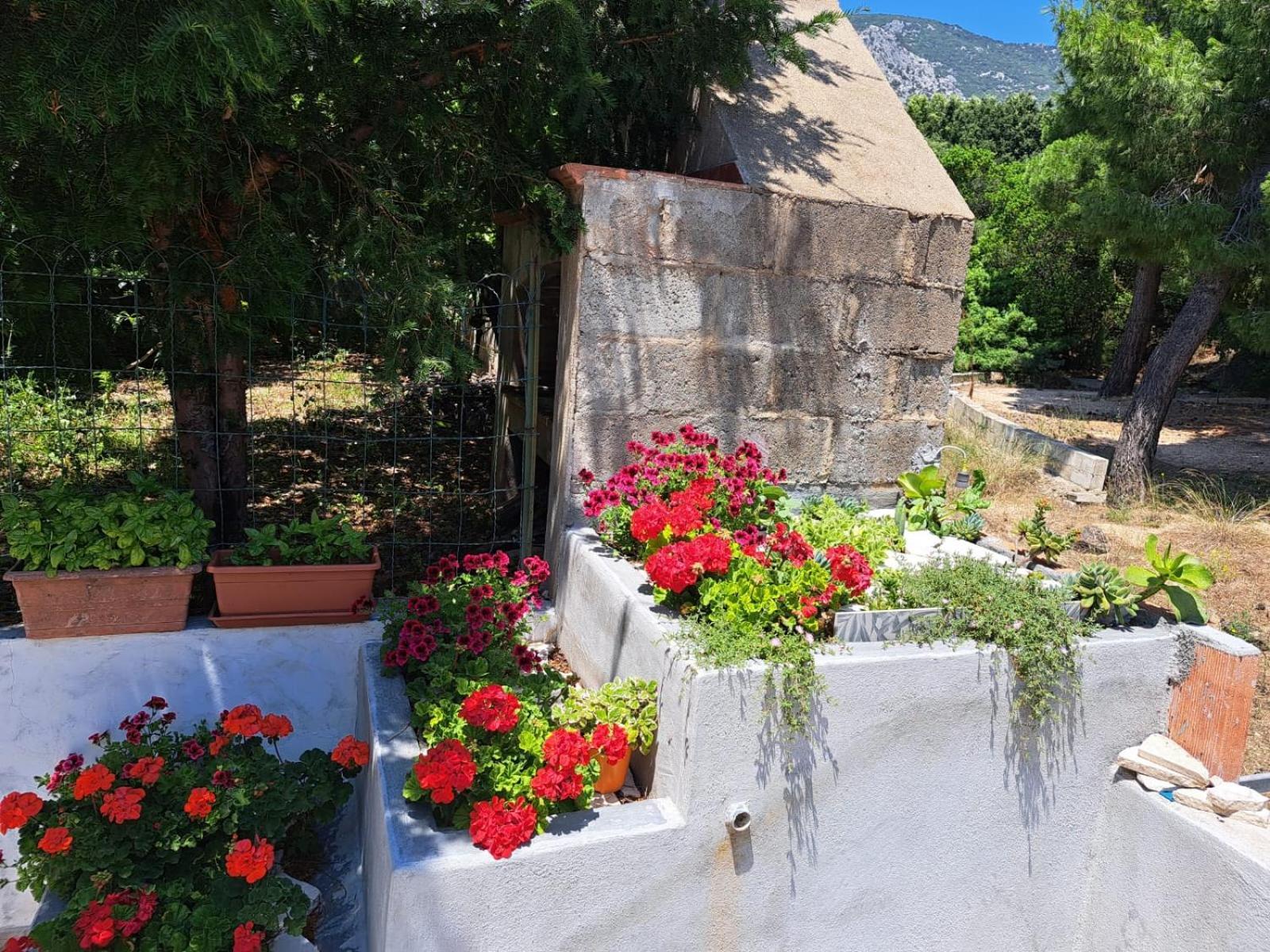 Apartament Domus De Mare Cala Gonone Zewnętrze zdjęcie